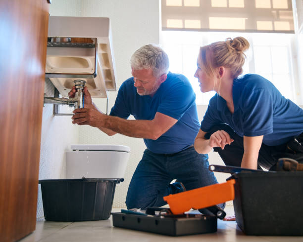 Best Affordable Plumbing Services  in New Madrid, MO